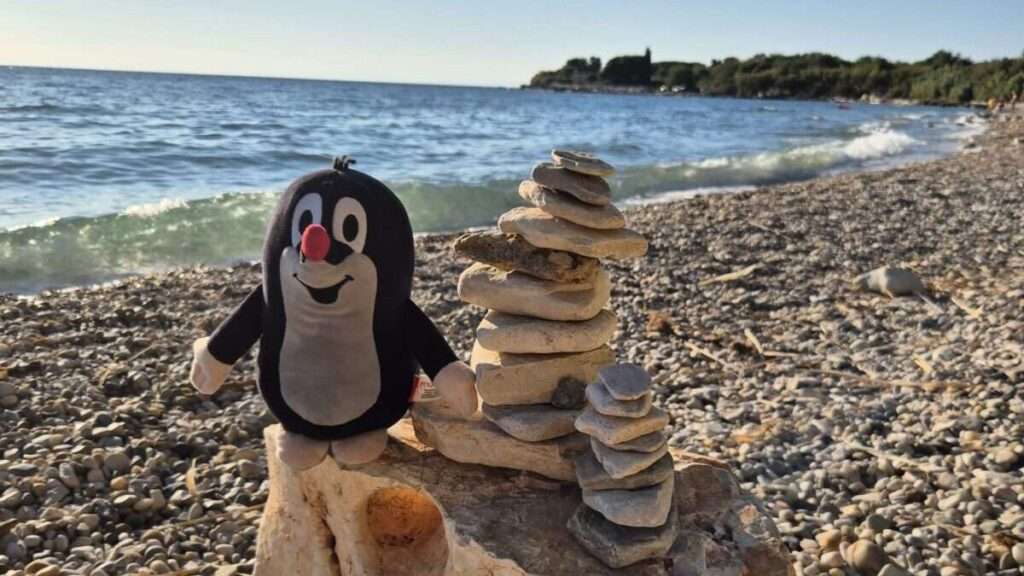 krteček novigrad